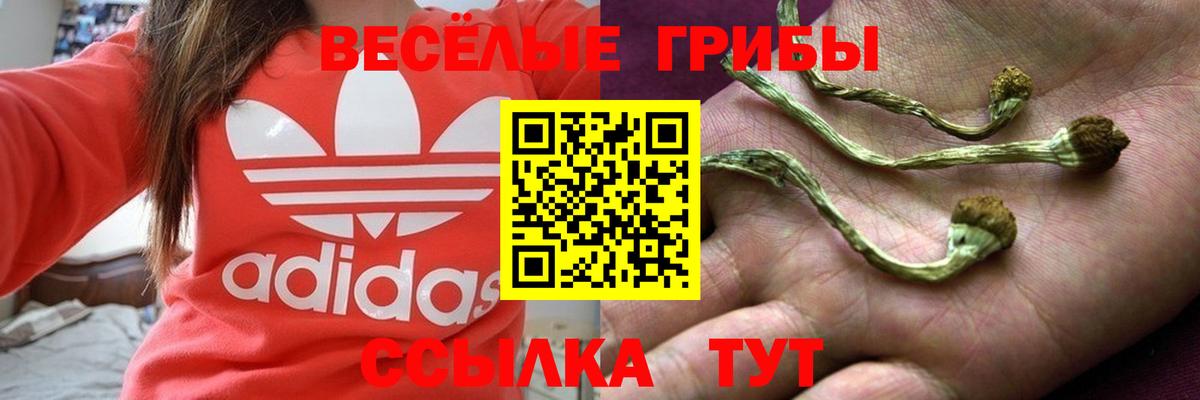 Псилоцибиновые грибы мухоморы Заволжье