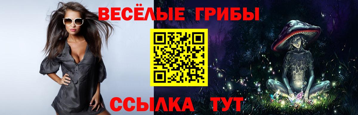 Галлюциногенные грибы мухоморы  Вход с VPN  Заволжье 