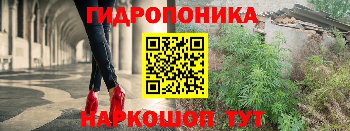Конопля гибрид Заволжье